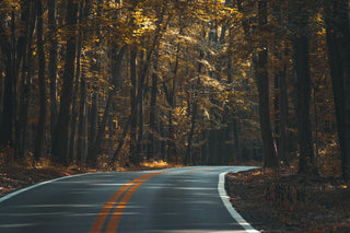 How To Merge Your Vision of a Sustainable Life and Wanderlust